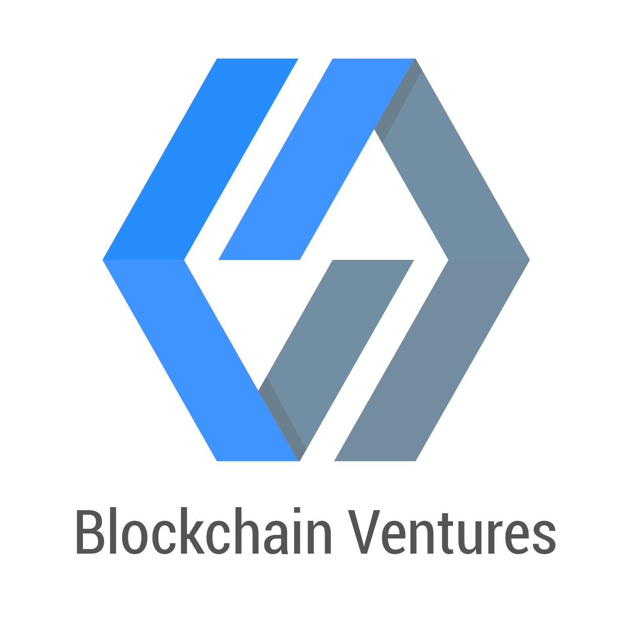 Blockchain Ventures Corp
