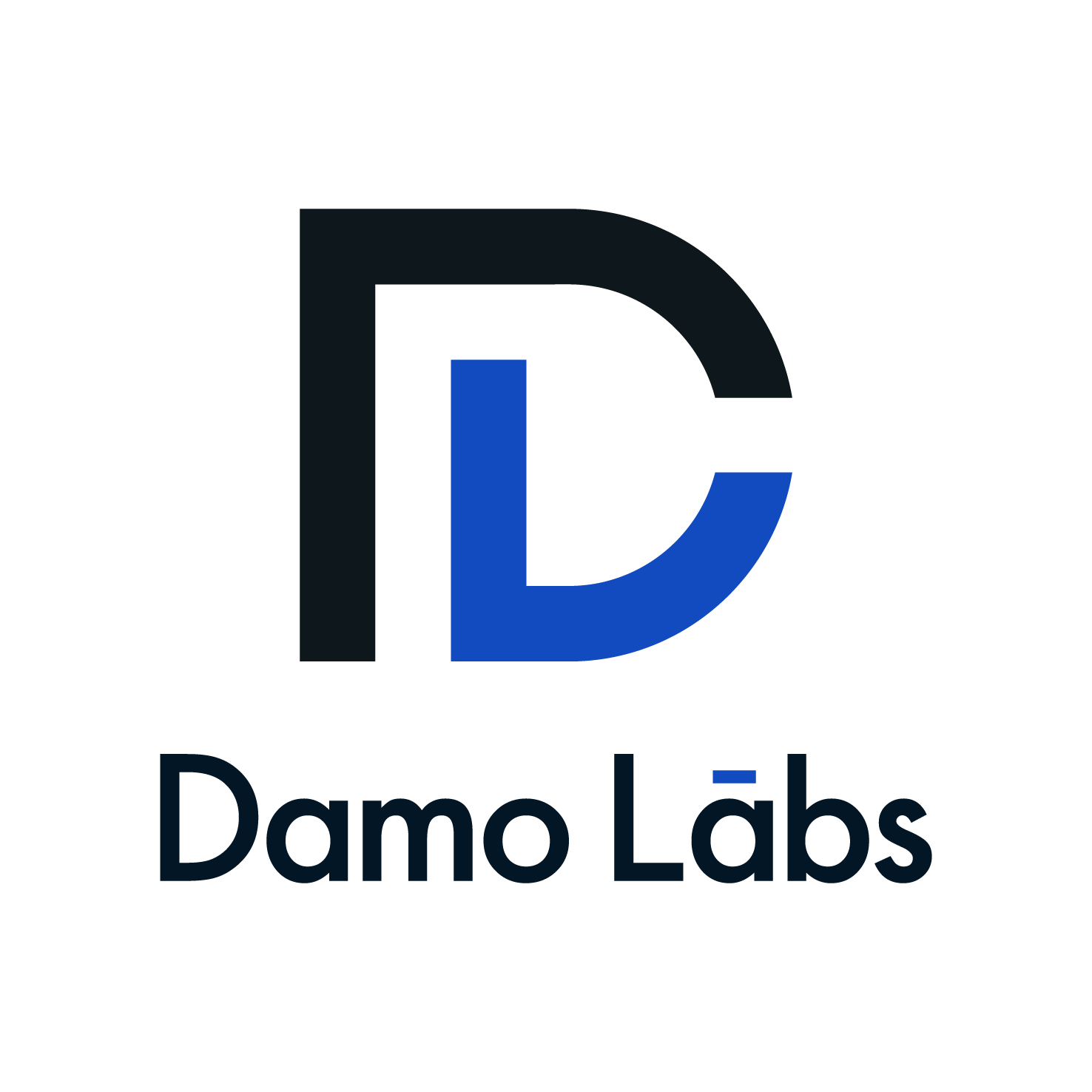Damo Labs