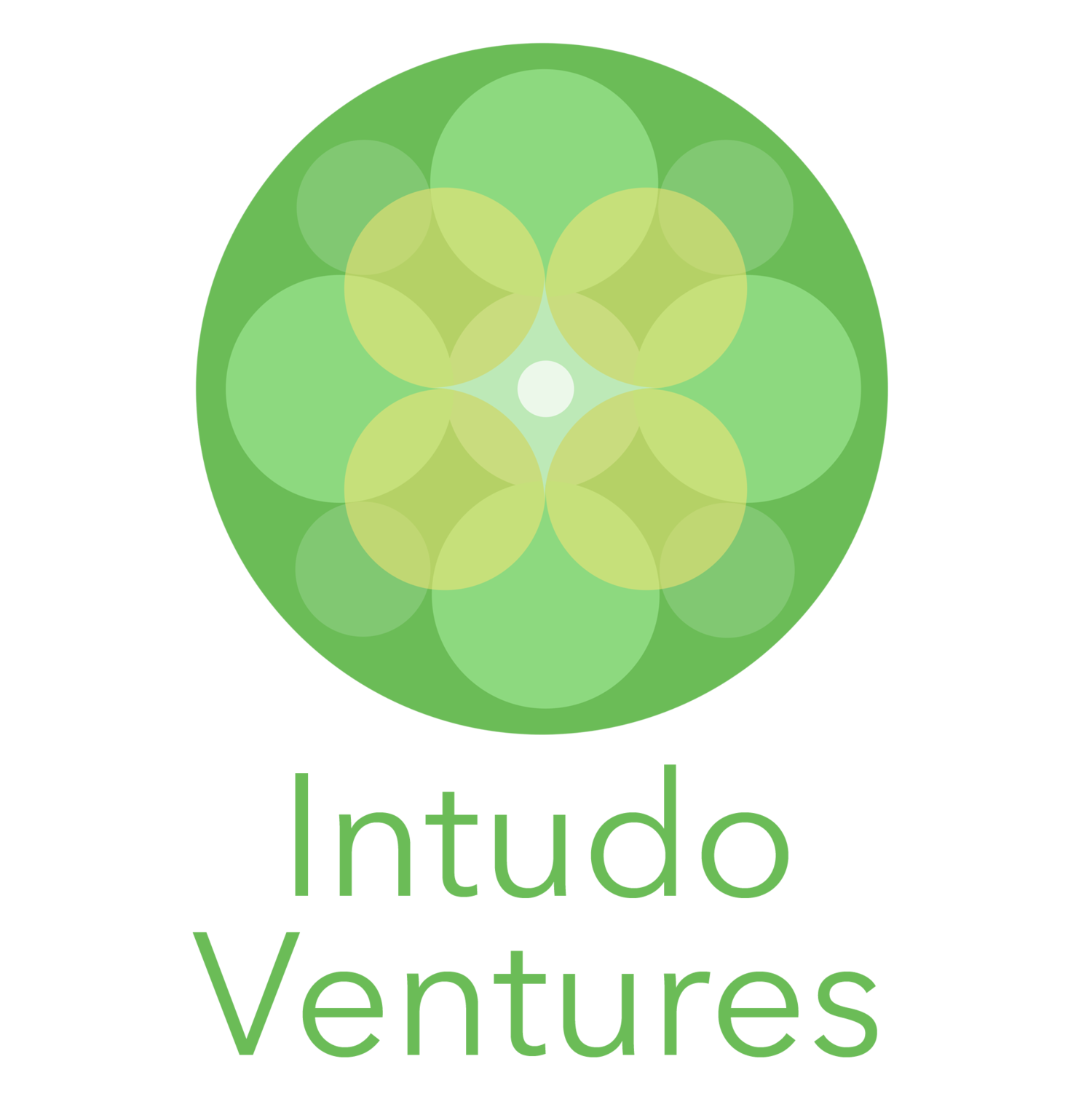 Intudo Ventures