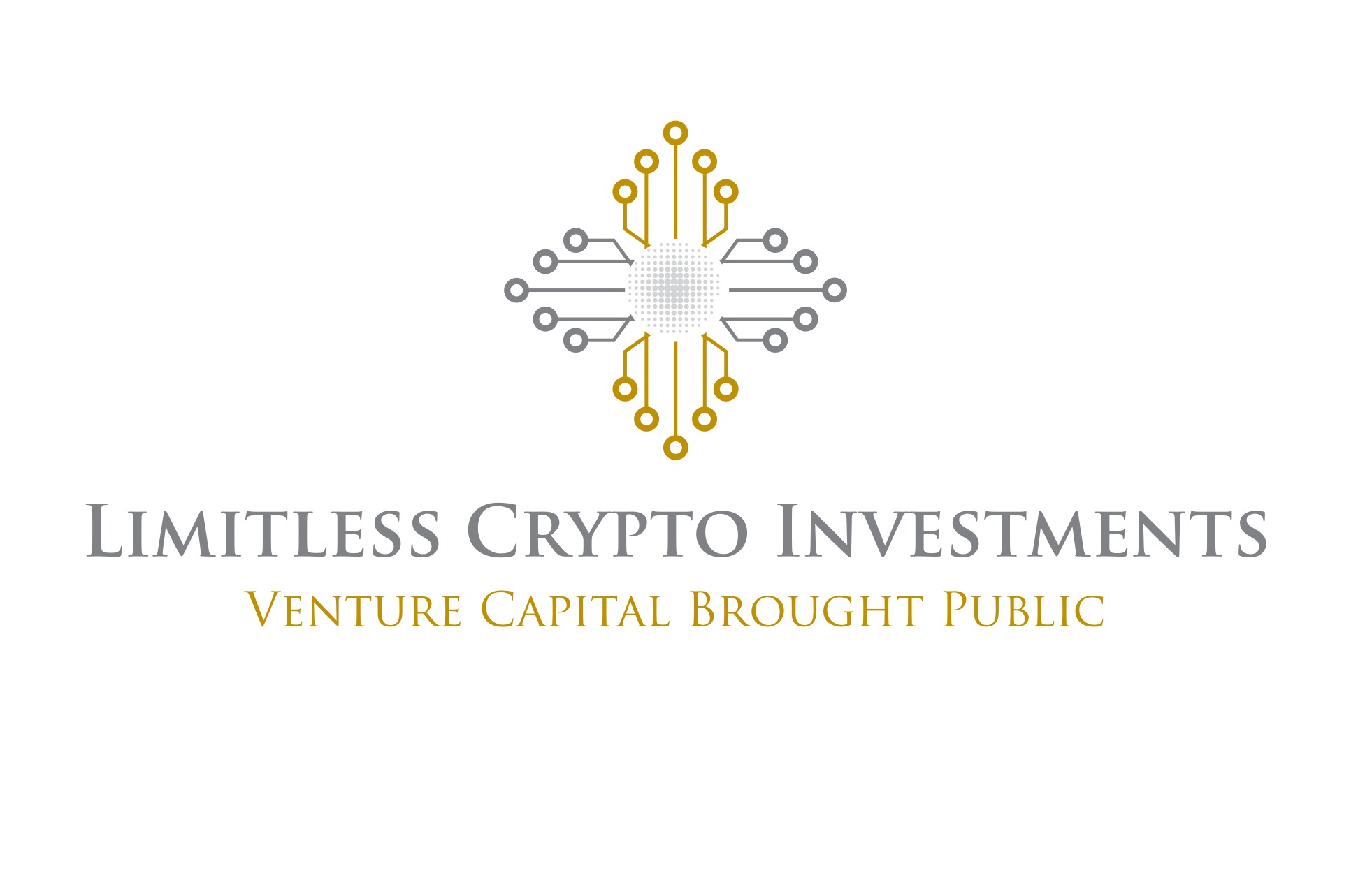 Limitless Crypto Investments Logo