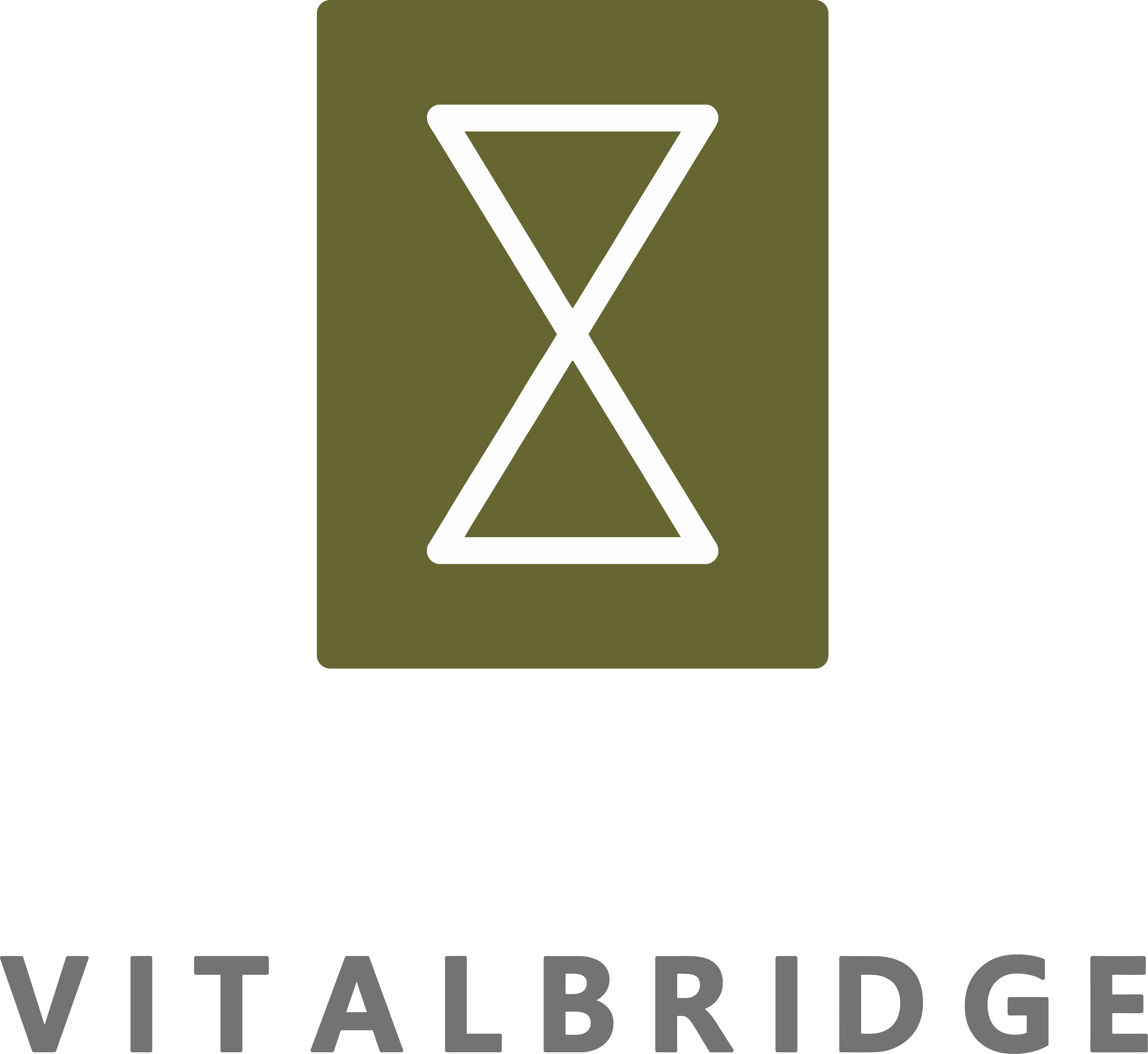 Vitalbridge Capital