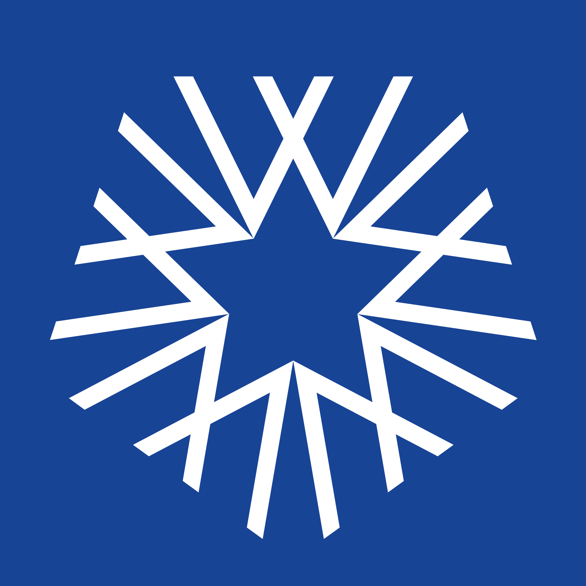 White Star Capital Logo