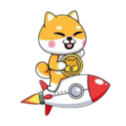Logo Baby Shiba Rocket