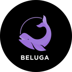 Logo Beluga.fi