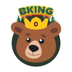 BKING Finance Logo