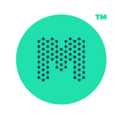 Logo BlockMesh