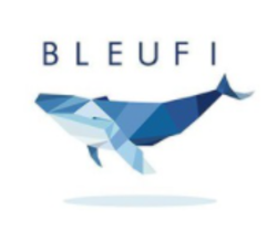 Logo BleuFi