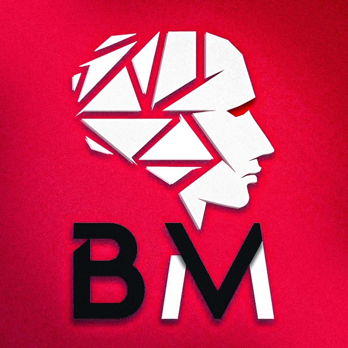 Logo Bmverse