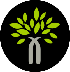 Bodh Finance Logo