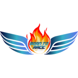 Logo Born To Race