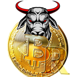 Bull Run Finance Logo