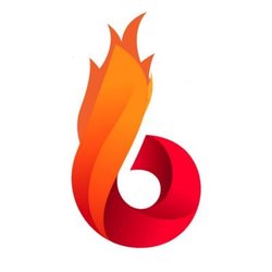 Logo BurnX