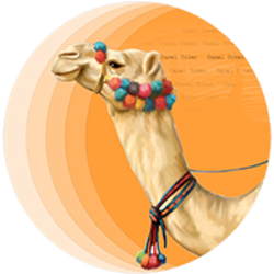 Logo CamelToken