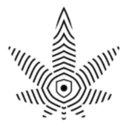 Cannumo Logo