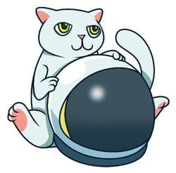 Cat Token Logo