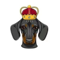 DogeKing Logo