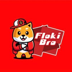 Logo FlokiBro