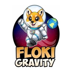 Logo FlokiGravity