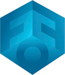 Future Of Fintech Logo