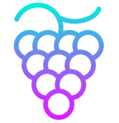 Logo Grape Protocol