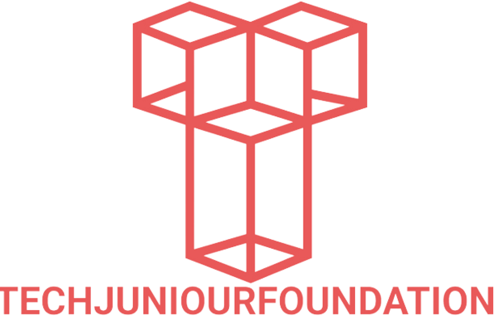 Great minds in tech (Tech junior foundation) Logo