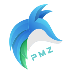 Logo Meta Z
