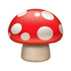 Logo Mushrooms Finance