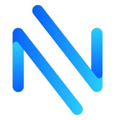 NearP2P Logo