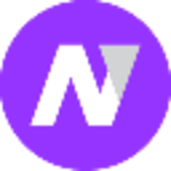 Netkoin Logo