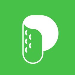Logo Pickle