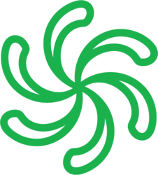 Logo Rapids