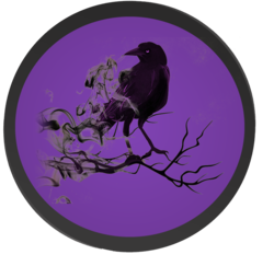 Logo Raven