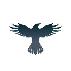 Logo Raven Protocol
