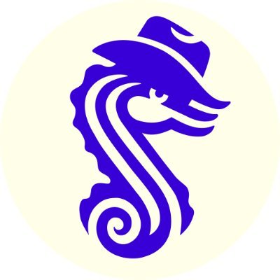 Logo Saddle Finance