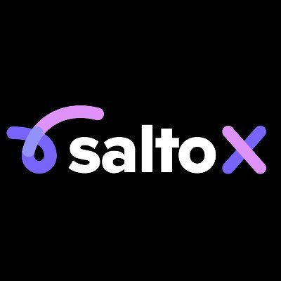 Logo Salto X