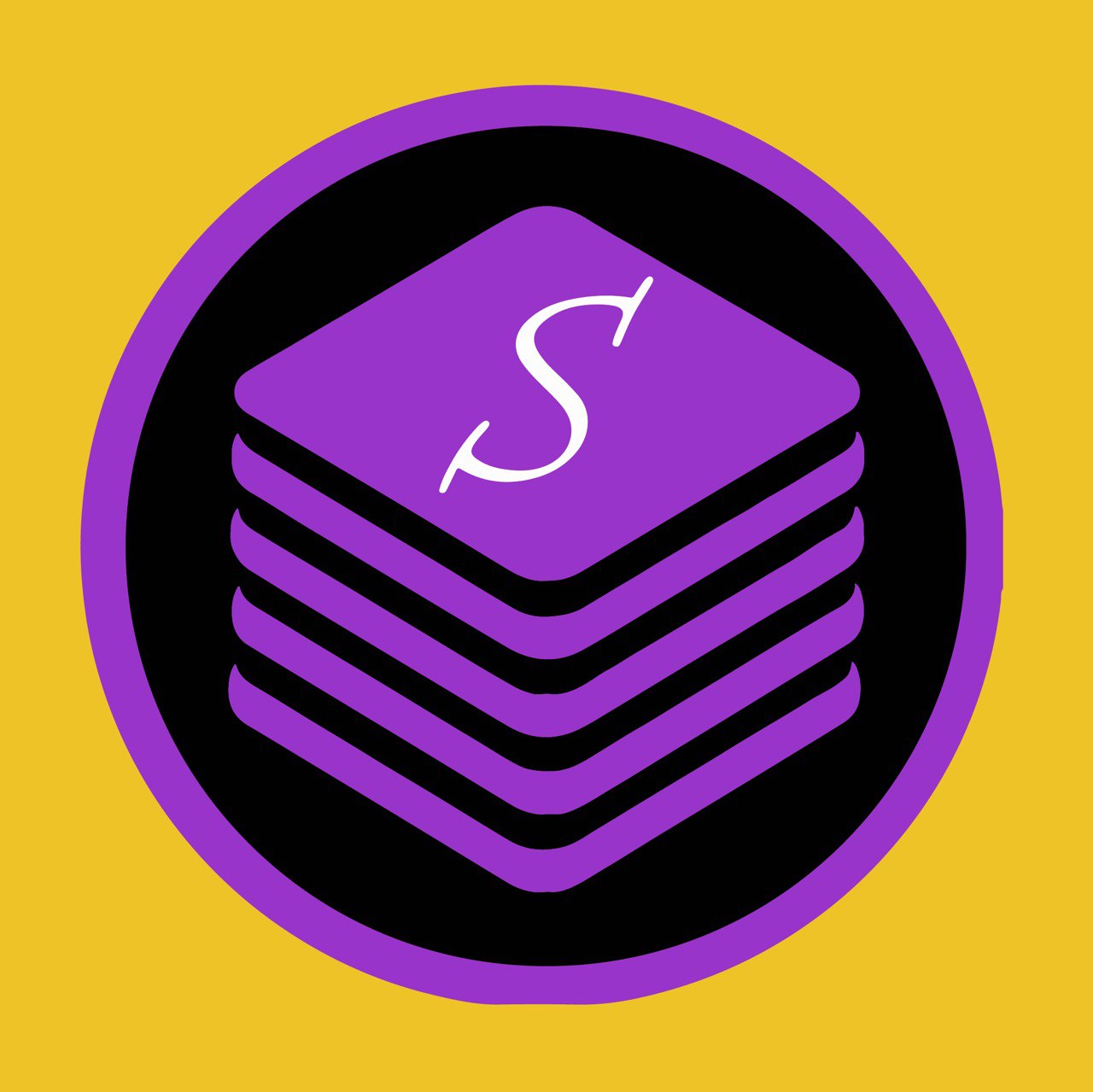 Secure Stash Logo