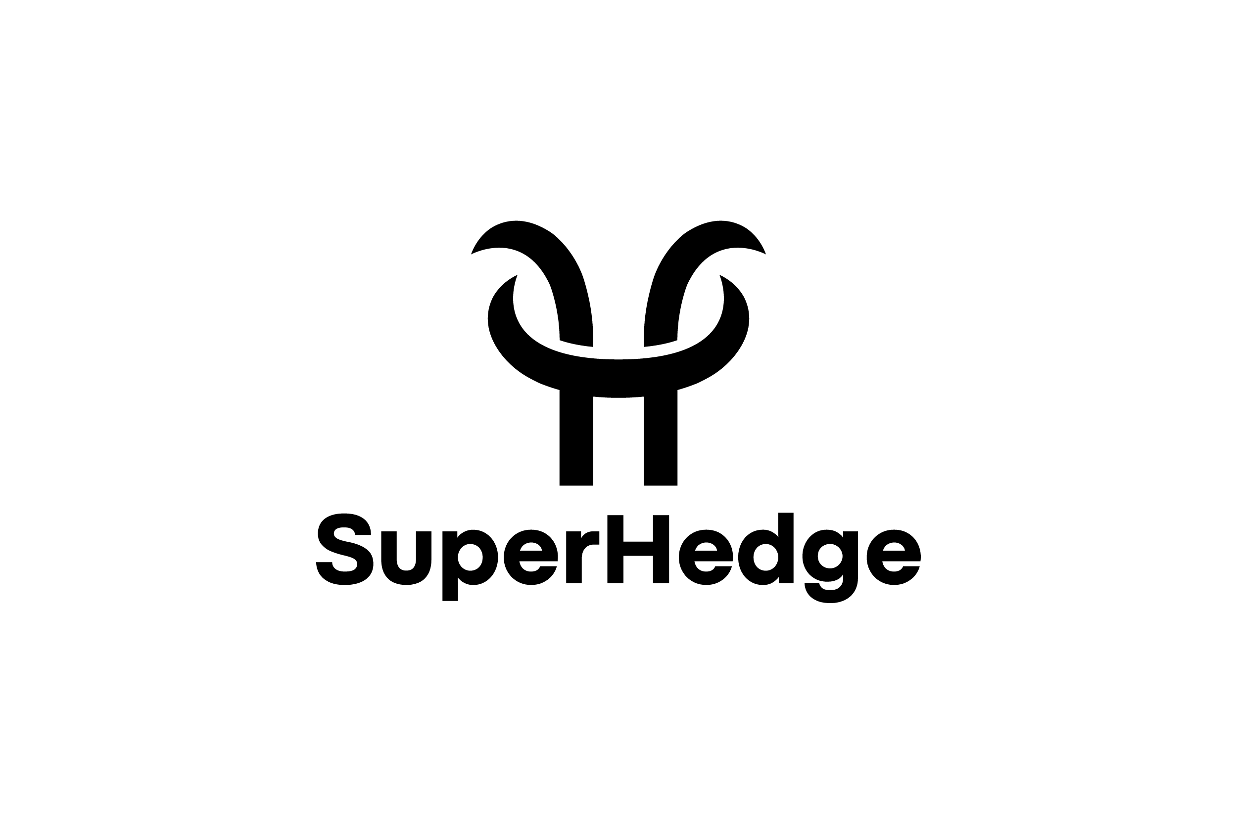 Logo Superhedge
