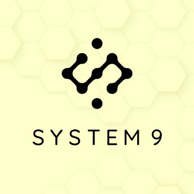 Logo System 9