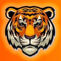 Logo TigerCoin