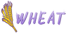 Logo Wheat Protocol