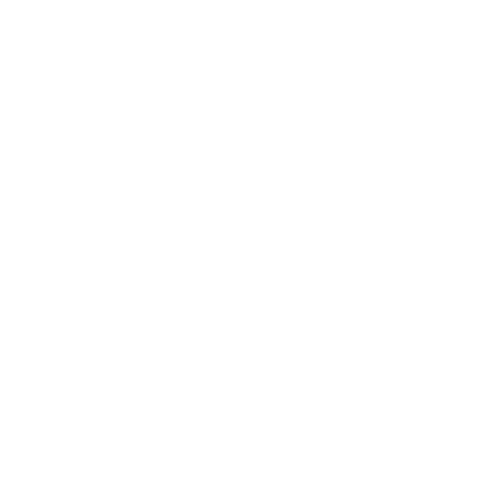 Logo Wormhole